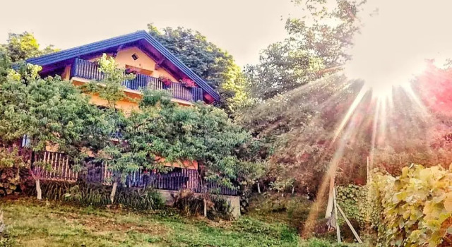 Апартаменты Apartman Potocki