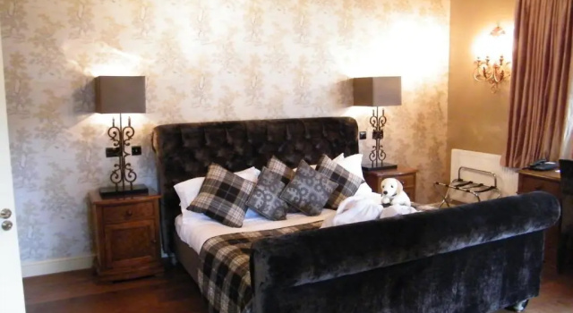 Полулюкс The Coed-Y-Mwstwr Hotel