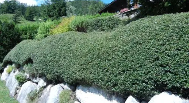 Privathaus Achensee, Забронировать Апартаменты/квартира Ахенкирх Ахензе, рядом с Nordhang