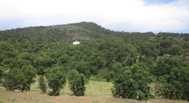 Вилла Belle villa 200m² Grimaud (flipers, babyfoot et piscine)