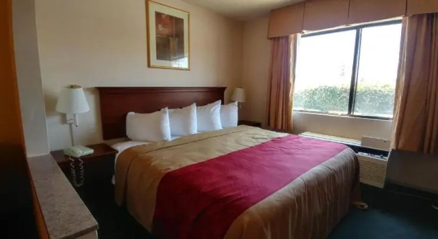 Номер Standard Quality Inn & Suites Artesia