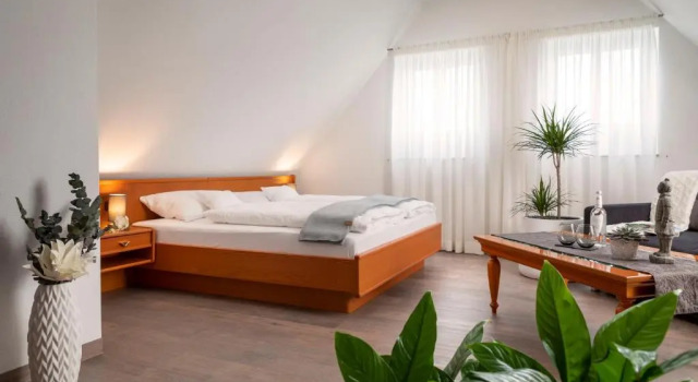 Люкс Hotel am Ludwigskanal
