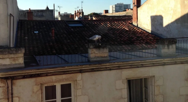 Appartement confortable au centre de La Rochelle