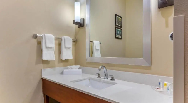 Номер Standard Comfort Suites Greensboro-High Point