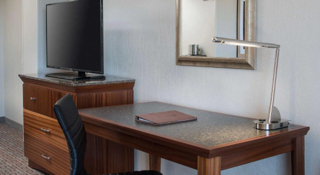 Двухместный номер Standard DoubleTree by Hilton Denver Tech