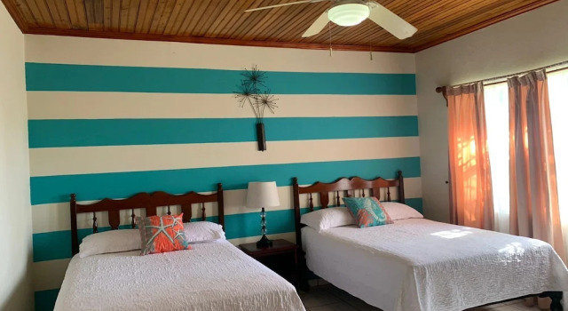 Двухместный номер Economy с видом на сад Seagrape Plantation Resort & Dive Center