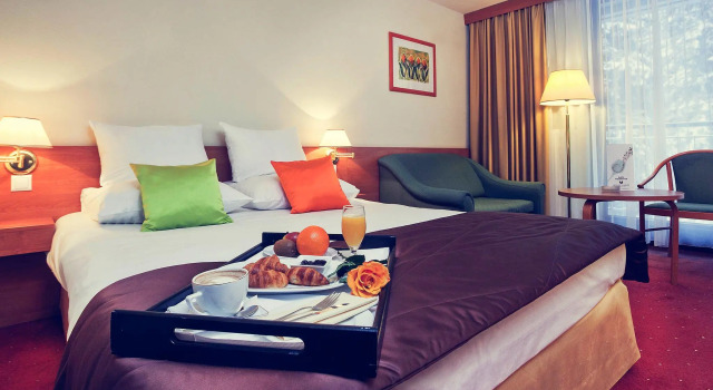 Двухместный номер Standard Mercure Karpacz Skalny