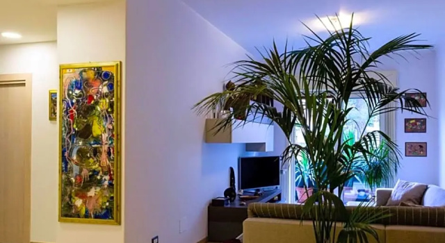 Albatros rooms