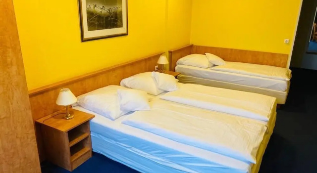 Трёхместный номер Standard Friends Hotel Kerpen