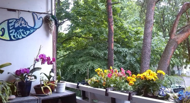 Номер Standard Brivibas Avenue Apartment