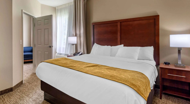 Двухместный люкс Comfort Suites Clarksville near Governors Square Mall