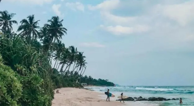 The wave surf inn