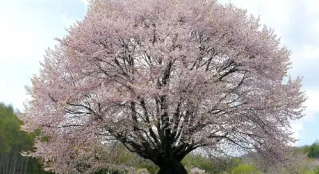 Green Field, Забронировать Отель Отели Gunma с парковкой, Парковка