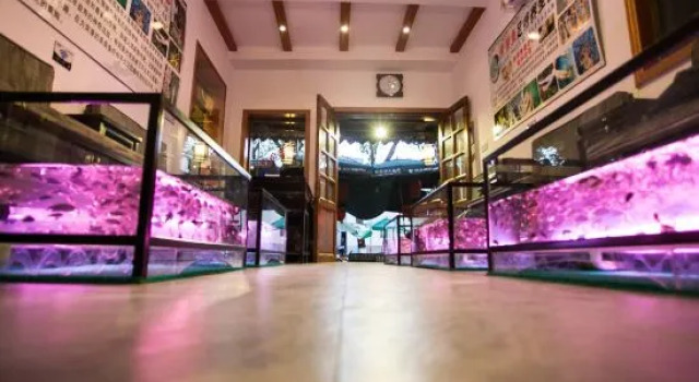 Tongli Shuitian Yise Hostel, Book Hostel / Vandrerhjem Hostels i Suzhou, Hostel / Vandrerhjem
