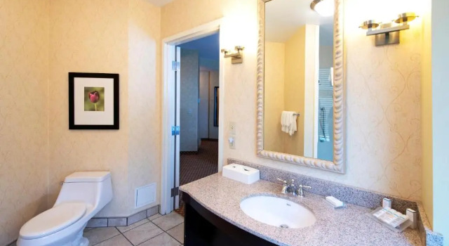 Номер Standard Hilton Garden Inn Ottawa Airport