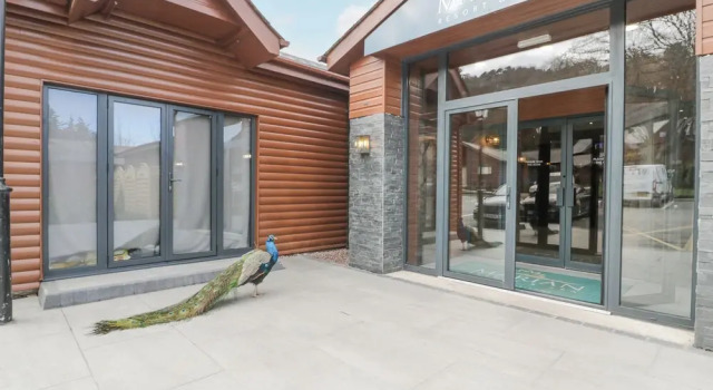 Luxury Lodge 53, Book Feriehus Meliden Clwyd