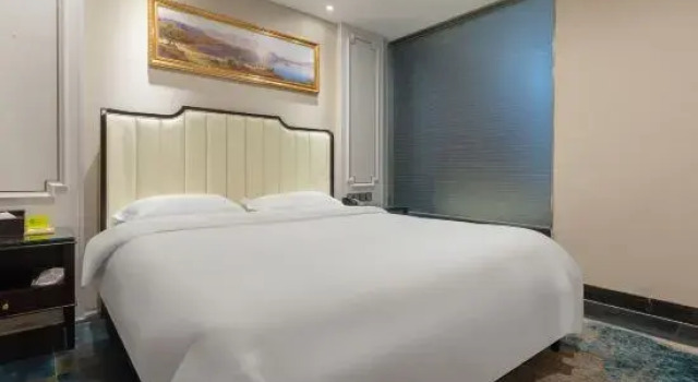 Люкс Deluxe Vienna Classic Hotel (Ningguo Sichuan-Tibet Railway City Government)