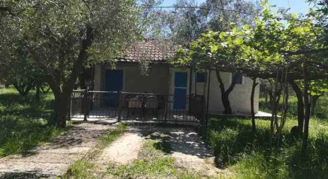 Бунгало Rajana Bungalow 2olive House