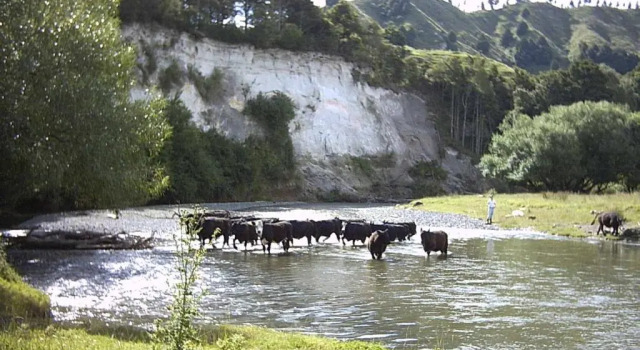 Earthsounds Country Cottage, Rezerwuj Dom wakacyjny Hotele w Auckland Region z parkingiem, Parking