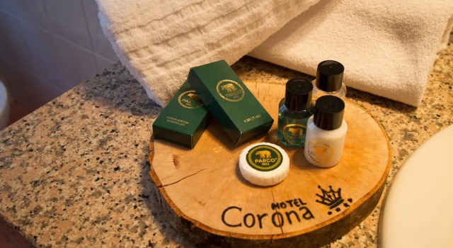 Трёхместный номер Standard Hotel Corona & Spa