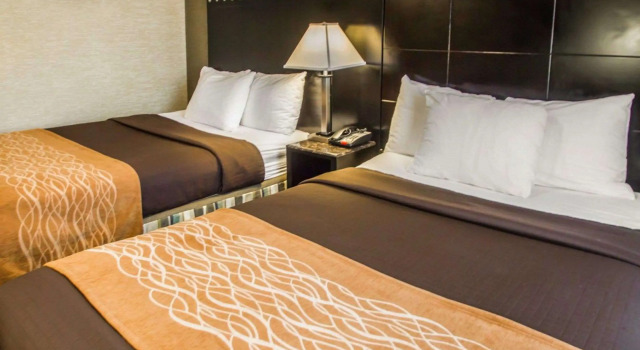 Четырёхместный номер Standard Rodeway Inn Bronx Zoo