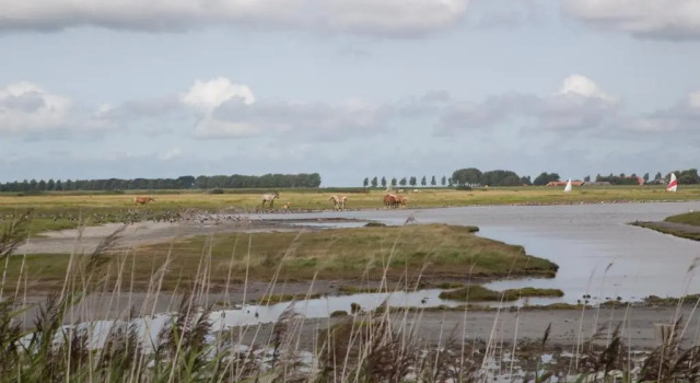ootmen, Book Lejlighed Lejligheder i Zeeland, Lejlighed