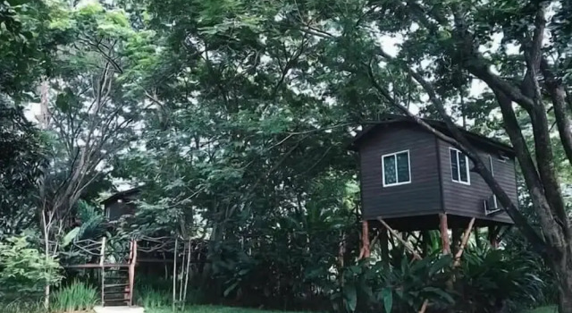 Коттедж Alongkorn Farm and Resort
