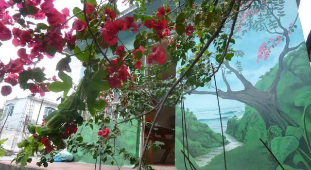 Mr. Mullets Hostel, Book Hostel / Vandrerhjem Hostels i Lake Atitlán, Hostel / Vandrerhjem