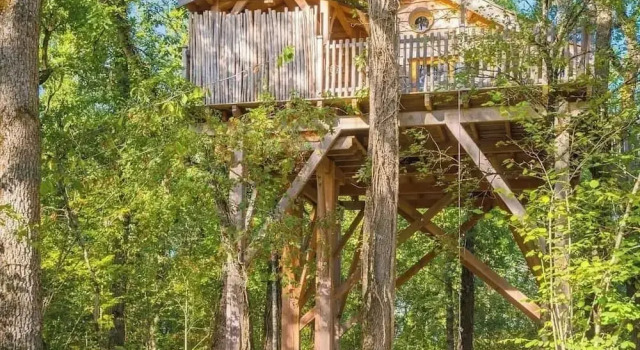 Номер Standard Domaine de Pech et Lafon Cabanes avec SPA privatif dans les arbres