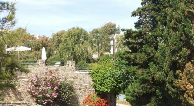 Студия Villas Georgy