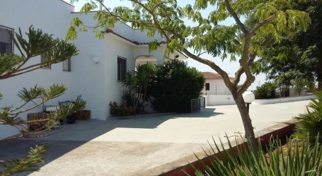 Villa Mediterranea tra gli ulivi