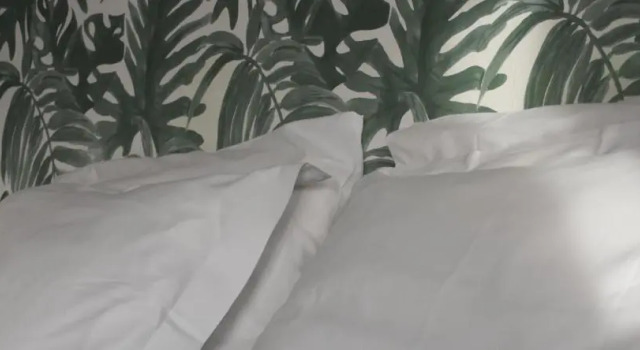 Bed & Breakfast Hotel Zandvoort, Забронировать Отель «постель и завтрак» Отели Зандворт с завтраком, рядом с Пляж Zandvoort, Завтраки