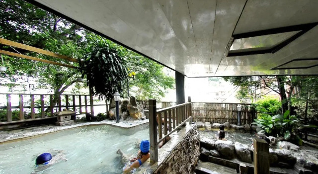 Номер Standard Green City Hotel