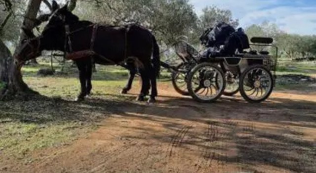 Can Barraca, Забронировать Апартаменты/квартира Отели Alt Empordà с парковкой, Парковка
