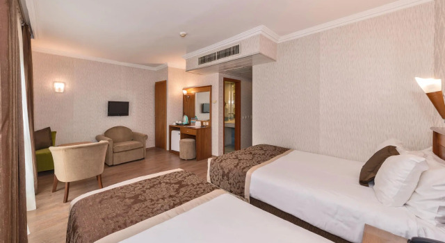 Двухместный номер Standard Four Sides Taksim Lion Hotel&Spa