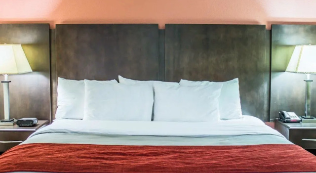 Одноместный люкс Quality Inn Raleigh Downtown