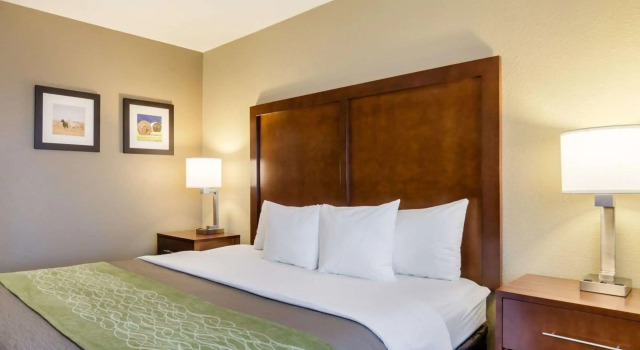 Двухместный номер Standard Comfort Inn Garden City