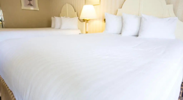 Четырёхместный номер Standard Anaheim Carriage Inn