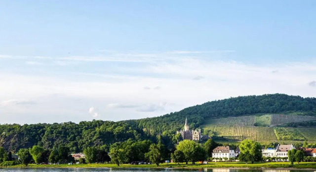 Апартаменты Hotel Rhein-Residenz