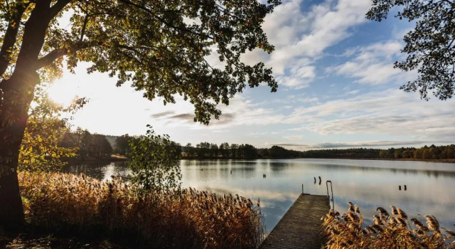 Коттедж Traumhaftes Ferienhaus mit eigenem Seezugang sowie Sauna und Kamin