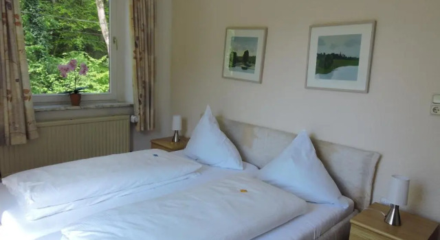 Двухместный номер Standard Hotel Bergische Schweiz