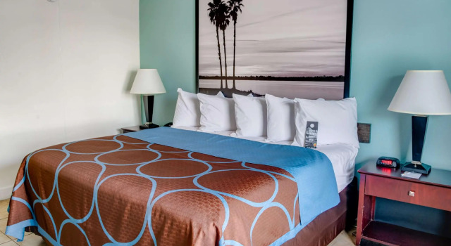Двухместный номер Standard Days Inn by Wyndham St. Petersburg / Tampa Bay Area