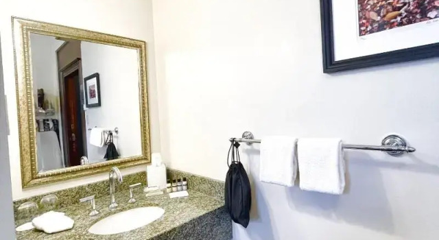 Одноместный номер Economy Hotel Manoir DAuteuil - Par Aneyro