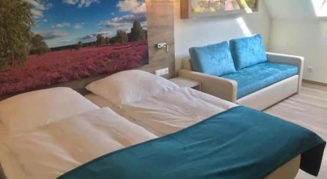 Семейный номер Standard Meyns Apartments & Hotel
