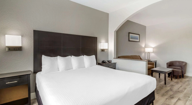 Двухместный люкс Best Western Texas City I-45