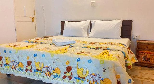 Двухместный номер Deluxe с видом на озеро Dreamyard Udaipur