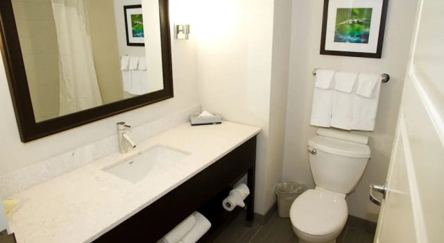 Номер Premium Holiday Inn Hotel & Suites Red Deer by IHG