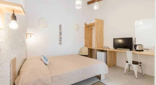 Bivalvia Beach Plus