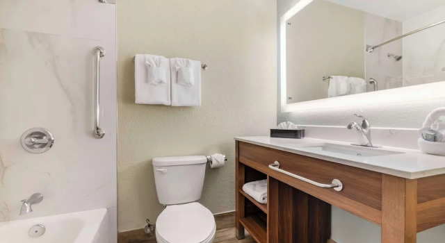 Люкс Pet Friendly Best Western Carlsbad by the Sea