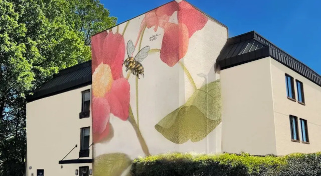 Hive House